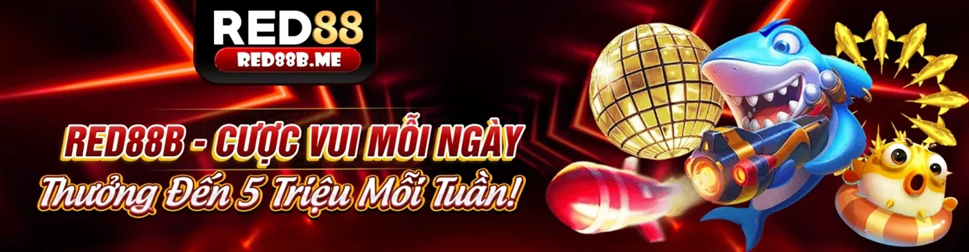 Hệ Thống Theo Dõi Hiệu Quả